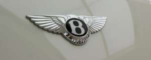 两个翅膀的汽车标志(一个翅膀一个B字标，这是哪个汽车品牌)